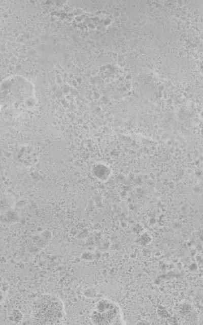 Ante Laccato / Effetto metallo ossidato e metallo liquido ossidato - Ossidato acciaio