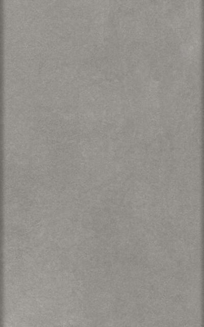 Ante Laminato melaminico - Pietra grey