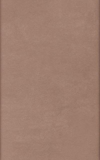 Ante Laminato melaminico - Pietra fulvus
