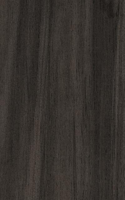 Doors MELAMINE - Grey salix