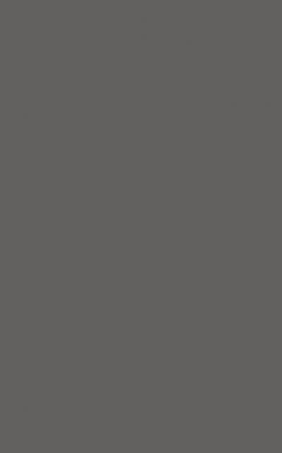 Doors MELAMINE - Anthracite